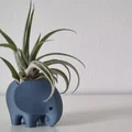 Chậu voi (Elephant Planter) – Chậu cây, bình cắm hoa hoặc ống đựng bút - Thumbnail 8