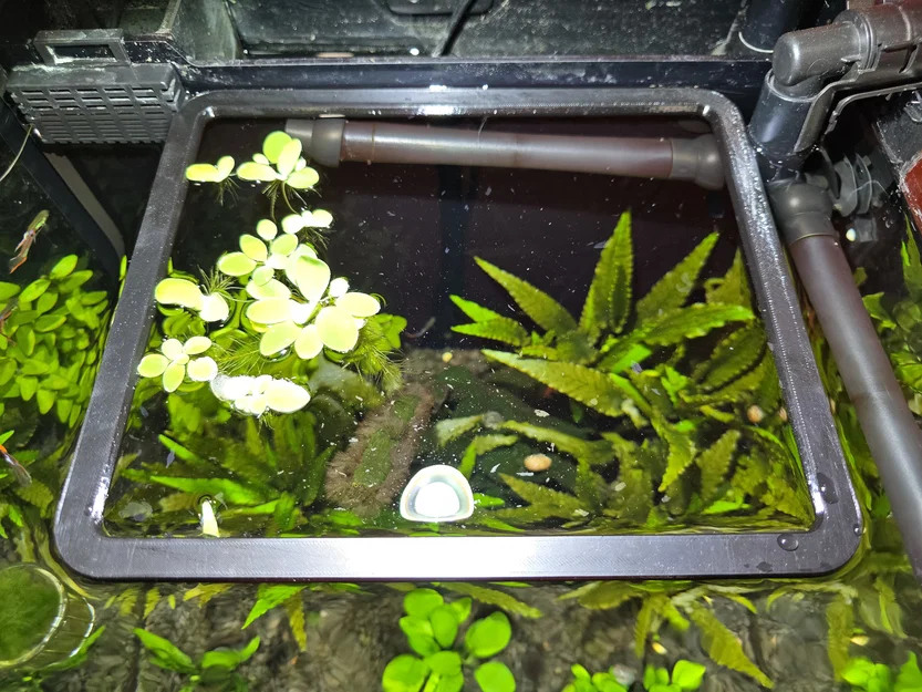 Khung Vuông Nổi Giữ Cây Nổi Hồ Cá (Aquarium Floating Plant Square) - Image 1