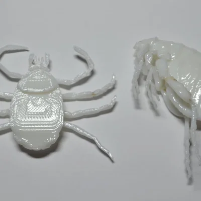 Côn trùng remix: Flea (Circus play-set) + dog tick