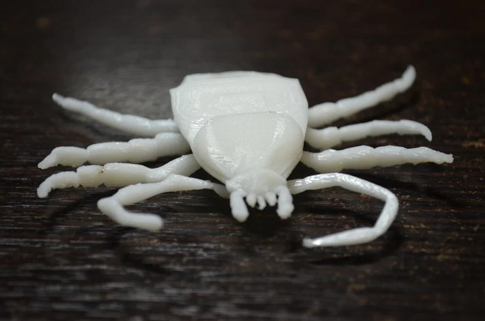 Côn trùng remix: Flea (Circus play-set) + dog tick - Image 4