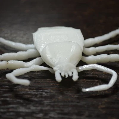 Côn trùng remix: Flea (Circus play-set) + dog tick