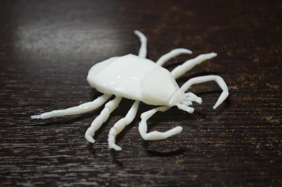 Côn trùng remix: Flea (Circus play-set) + dog tick - Image 13