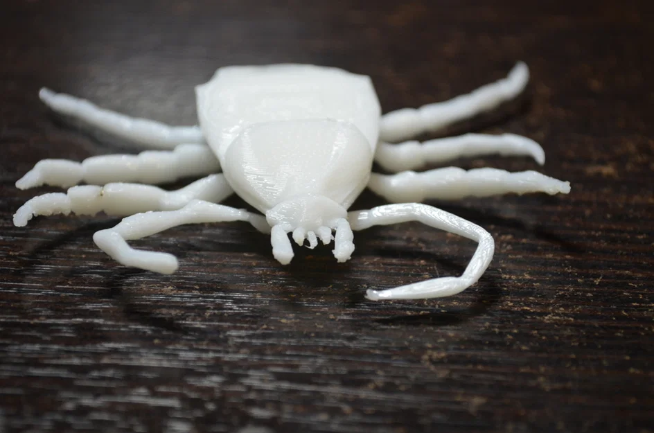 Côn trùng remix: Flea (Circus play-set) + dog tick - Image 16