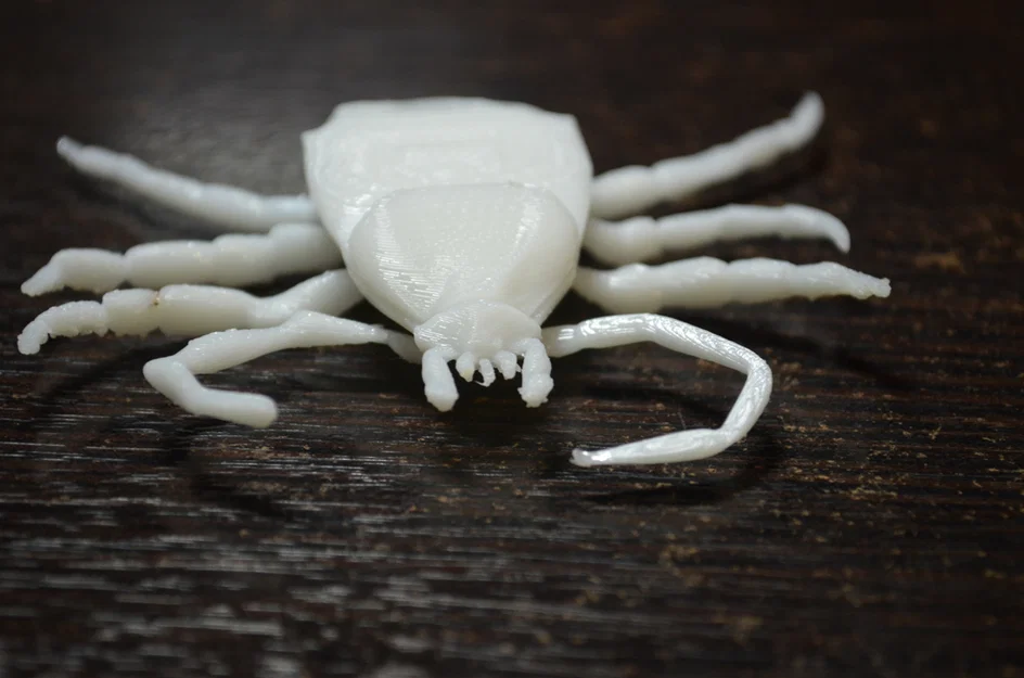 Côn trùng remix: Flea (Circus play-set) + dog tick - Image 17