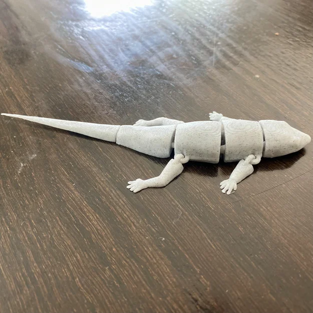 Mô Hình Thằn Lằn Flexi Common Side-Blotched - Image 2