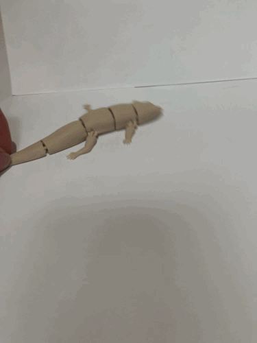 Mô Hình Thằn Lằn Flexi Common Side-Blotched - Image 3