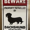 Bảng hiệu - An ninh Dachshund (Sign - Dachshund Security) - Thumbnail 2