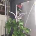Mô hình 3D cú tuyết (Snowy Owl) trang trí đẹp mắt - Thumbnail 2