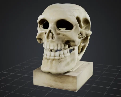 Mô hình hộp sọ 3D nghệ thuật trang trí bàn làm việc - Image 1