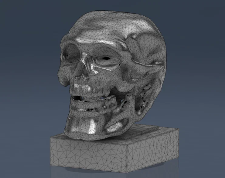 Mô hình hộp sọ 3D nghệ thuật trang trí bàn làm việc - Image 2
