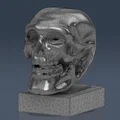 Mô hình hộp sọ 3D nghệ thuật trang trí bàn làm việc - Thumbnail 2