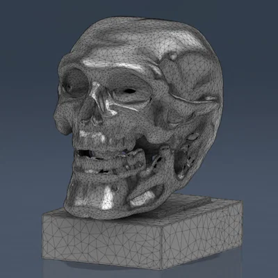 Mô hình hộp sọ 3D nghệ thuật trang trí bàn làm việc