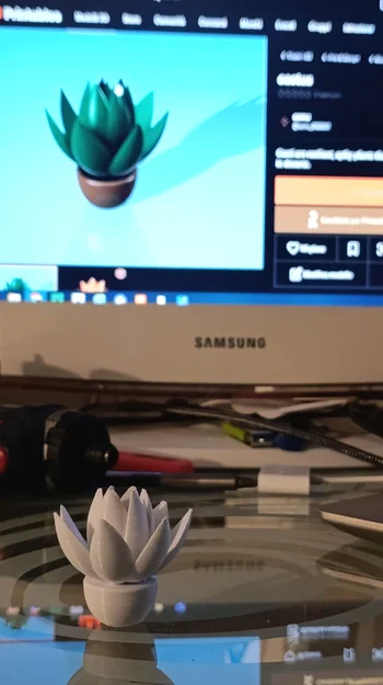 Mô hình xương rồng (cactus) - Image 2