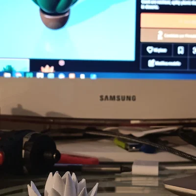 Mô hình xương rồng (cactus)