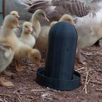 Tháp cấp nước tự động cho gà vịt (Poultry Water Pot Tower)