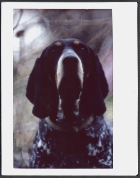 Khung scan Instax Wide: viền đều, hạn chế Newton Rings - Image 8