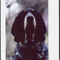 Khung scan Instax Wide: viền đều, hạn chế Newton Rings - Thumbnail 8