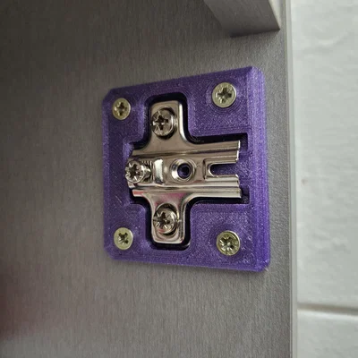 Tấm sửa chữa bản lề phẳng (Flat Hinge repair-plate)