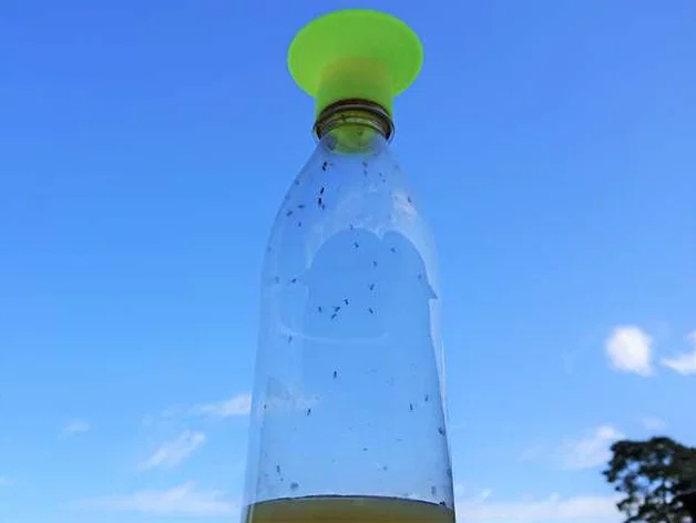 Phễu Bẫy Ruồi Giấm Tự Chế Cho Chai Nhựa - Tiết Kiệm & Hiệu Quả - Image 1