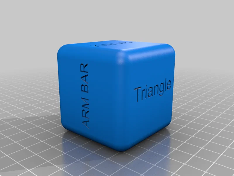 Xúc xắc tập luyện BJJ (Jiu Jitsu Training Dice) in 3D - Image 2
