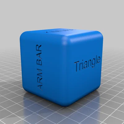 Xúc xắc tập luyện BJJ (Jiu Jitsu Training Dice) in 3D