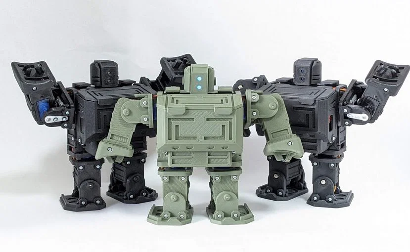 Robot đi bộ điều khiển từ xa dùng Raspberry Pi Pico (Open) - Image 1