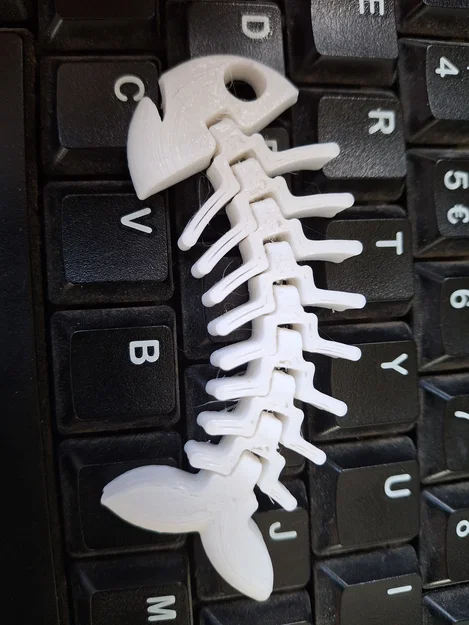 Mô hình cá xương Flexi Fish in 3D linh hoạt, giải trí cực vui - Image 2