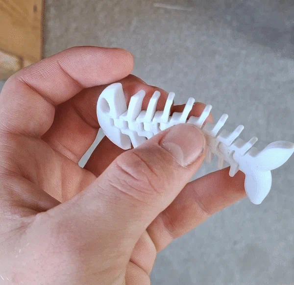 Mô hình cá xương Flexi Fish in 3D linh hoạt, giải trí cực vui - Image 3
