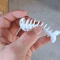 Mô hình cá xương Flexi Fish in 3D linh hoạt, giải trí cực vui - Thumbnail 3