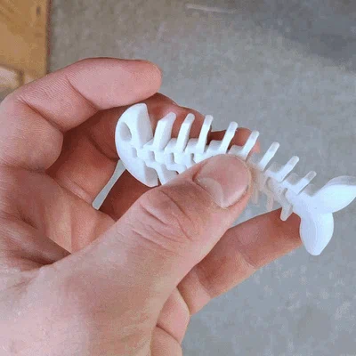 Mô hình cá xương Flexi Fish in 3D linh hoạt, giải trí cực vui