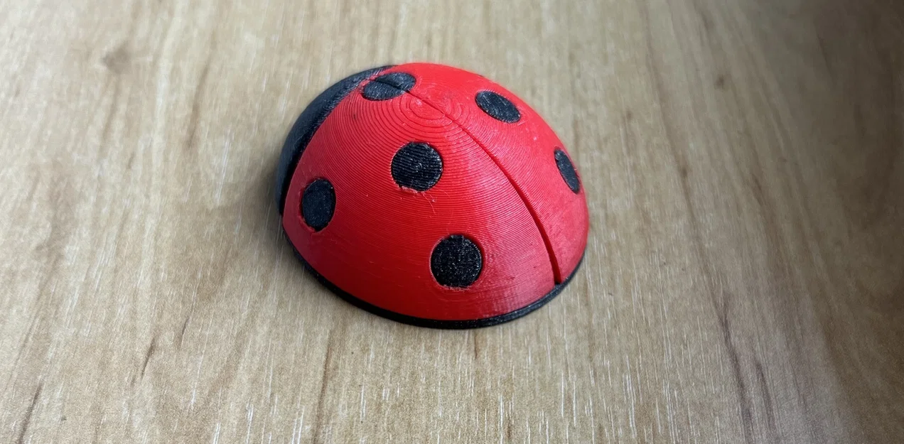 Mô hình bọ cánh cứng (ladybug) ghép mảnh 3D độc đáo - Image 2