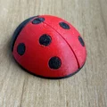 Mô hình bọ cánh cứng (ladybug) ghép mảnh 3D độc đáo - Thumbnail 2