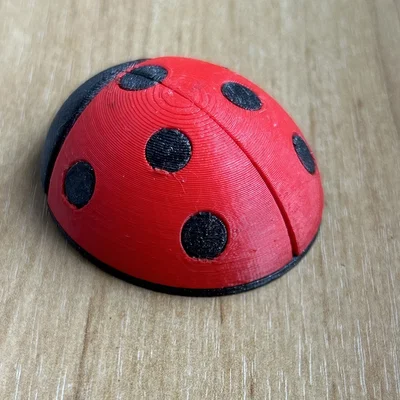 Mô hình bọ cánh cứng (ladybug) ghép mảnh 3D độc đáo