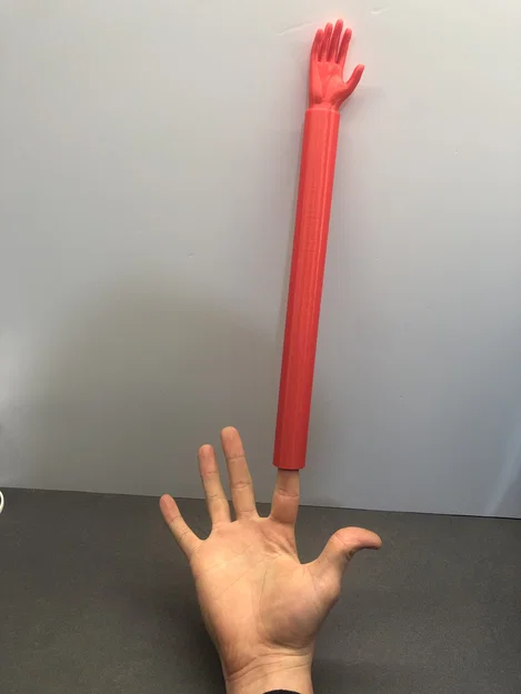 Bàn tay gãi lưng tí hon – Nối ngón siêu dài (Tiny Back Scratcher Hand) - Image 3