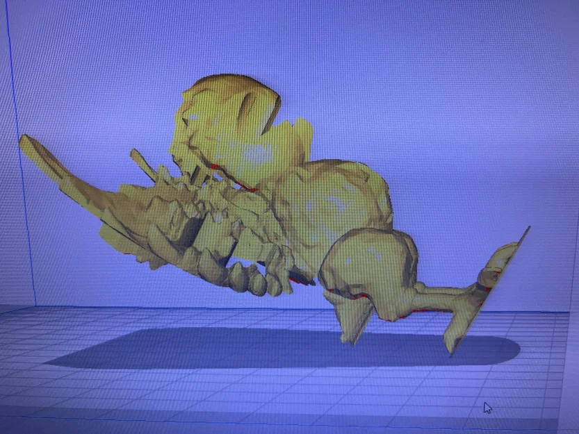Fiery Phoenix - Single Extruder - Dual Colour (Phượng hoàng rực lửa 2 màu) - Image 11