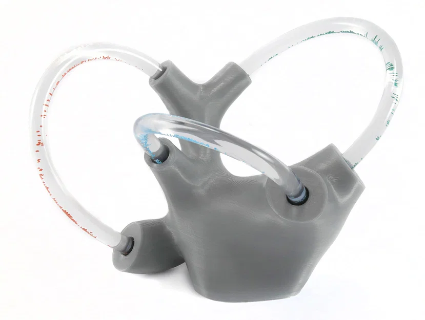 Mô hình tai trong chứa chất lỏng: Vestibular Apparatus cho giáo dục chóng mặt - Image 1