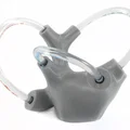 Mô hình tai trong chứa chất lỏng: Vestibular Apparatus cho giáo dục chóng mặt - Thumbnail 1