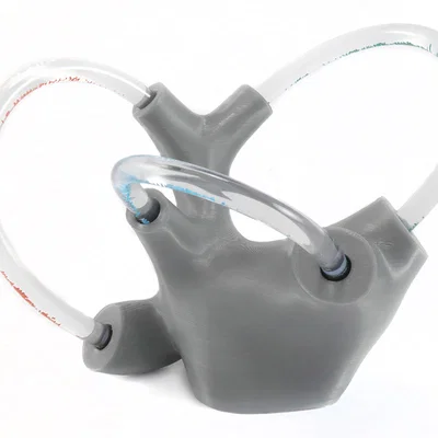 Mô hình tai trong chứa chất lỏng: Vestibular Apparatus cho giáo dục chóng mặt