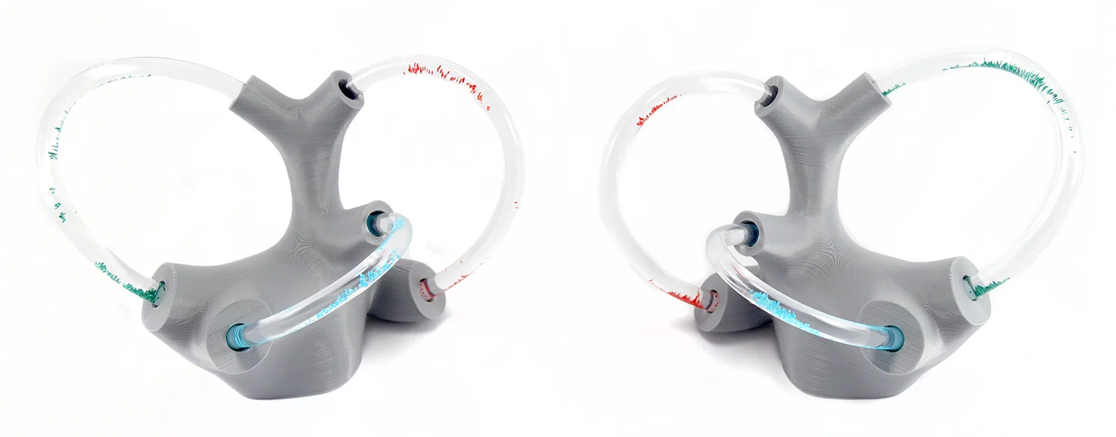 Mô hình tai trong chứa chất lỏng: Vestibular Apparatus cho giáo dục chóng mặt - Image 2