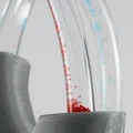 Mô hình tai trong chứa chất lỏng: Vestibular Apparatus cho giáo dục chóng mặt - Thumbnail 3