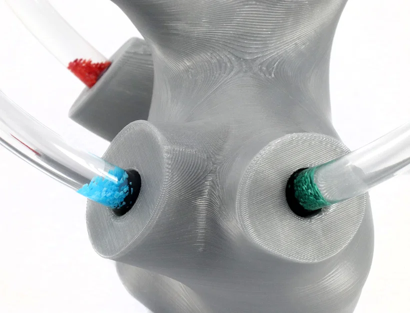 Mô hình tai trong chứa chất lỏng: Vestibular Apparatus cho giáo dục chóng mặt - Image 4