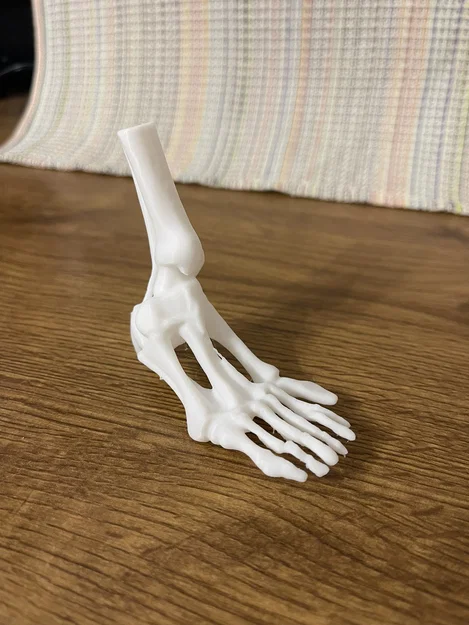 Mô hình bàn chân xương người 3D - Phụ kiện trang trí Halloween độc đáo - Image 1