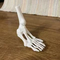 Mô hình bàn chân xương người 3D - Phụ kiện trang trí Halloween độc đáo - Thumbnail 1