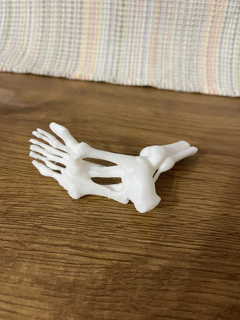 Mô hình bàn chân xương người 3D - Phụ kiện trang trí Halloween độc đáo - Image 2