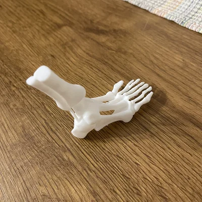 Mô hình bàn chân xương người 3D - Phụ kiện trang trí Halloween độc đáo