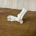 Mô hình bàn chân xương người 3D - Phụ kiện trang trí Halloween độc đáo - Thumbnail 4