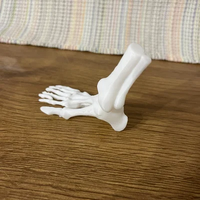 Mô hình bàn chân xương người 3D - Phụ kiện trang trí Halloween độc đáo