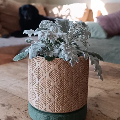 Wall Planter 1.28 Leaves