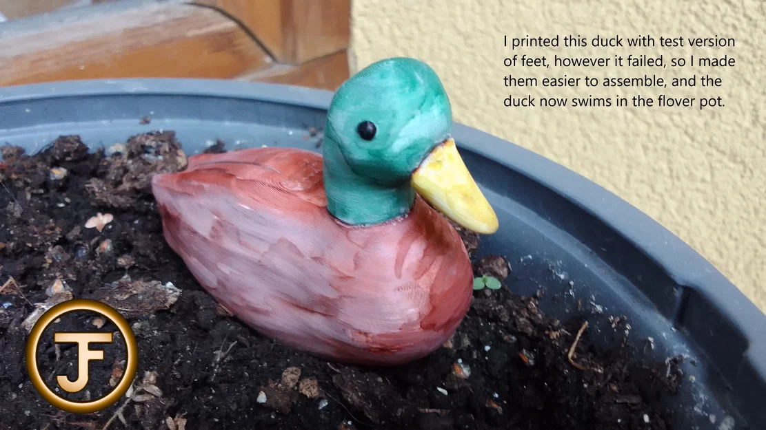 Vịt trời Mallard (Mallard duck) đa màu cho máy single extruder - Image 2