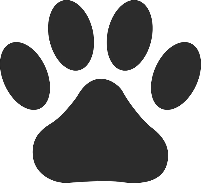 Đồng xu 3D in hình dấu chân chó (Dog Paw Print Coin) cực kỳ dễ thương - Image 2